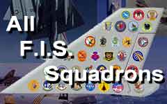 F.I.S. Units and Organizations